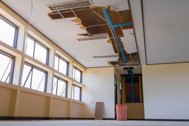 Best Carpet water damage restoration  in Racine, WI