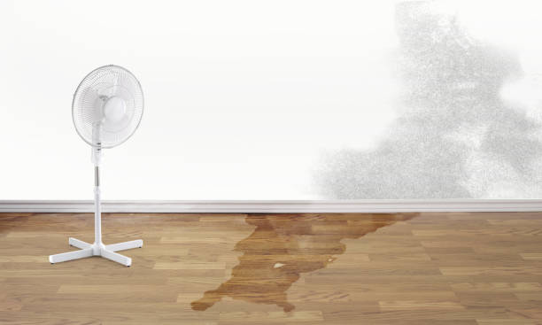 Best Fire Damage Restoration  in Racine, WI