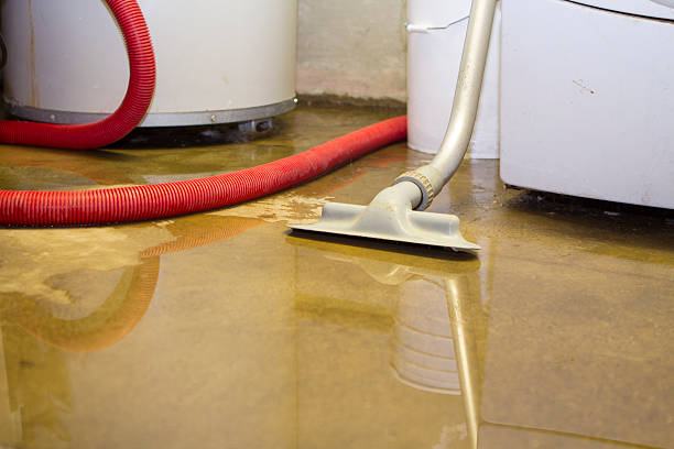 Best Carpet water damage restoration  in Racine, WI