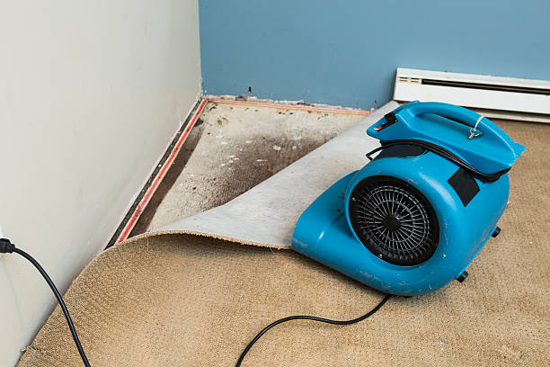 Best Ceiling water damage repair  in Racine, WI